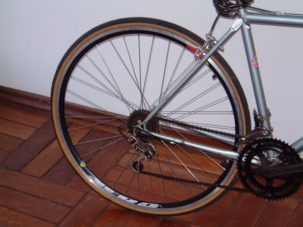Consultar placa de carro: 6 riscos que pesam no bolso