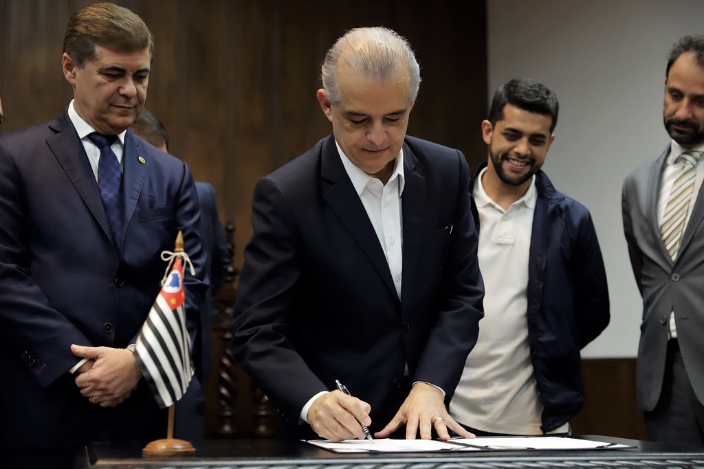 Consulta placa: o erro comum que custa caro na compra